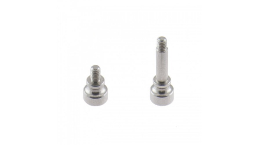 Screws Support Spring