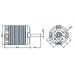 ALIGN 460MX Brushless Motor (3200KV/2222) HML46M02 ALIGN T-REX 460MX Brushless Motor (3200KV/2222) HML46M02