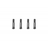 OMP Hobby M4 Max Screw / Driver Pin (M2x10.5mm)