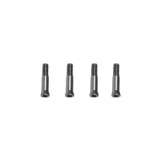 OMP Hobby M4 Max Screw / Driver Pin (M2x10.5mm) OMP Hobby M4 Max Screw / Driver Pin (M2x10.5mm)